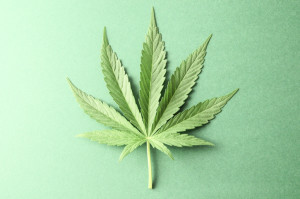Legal Recreational Marijuana One Step Closer in New Jersey